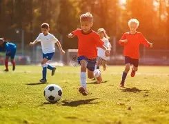 就业社保工,资趋势前瞻,揭秘最新进,开云体育APP,体育博彩APP,在线博彩,下载安装,即时体育投注,直播赛事